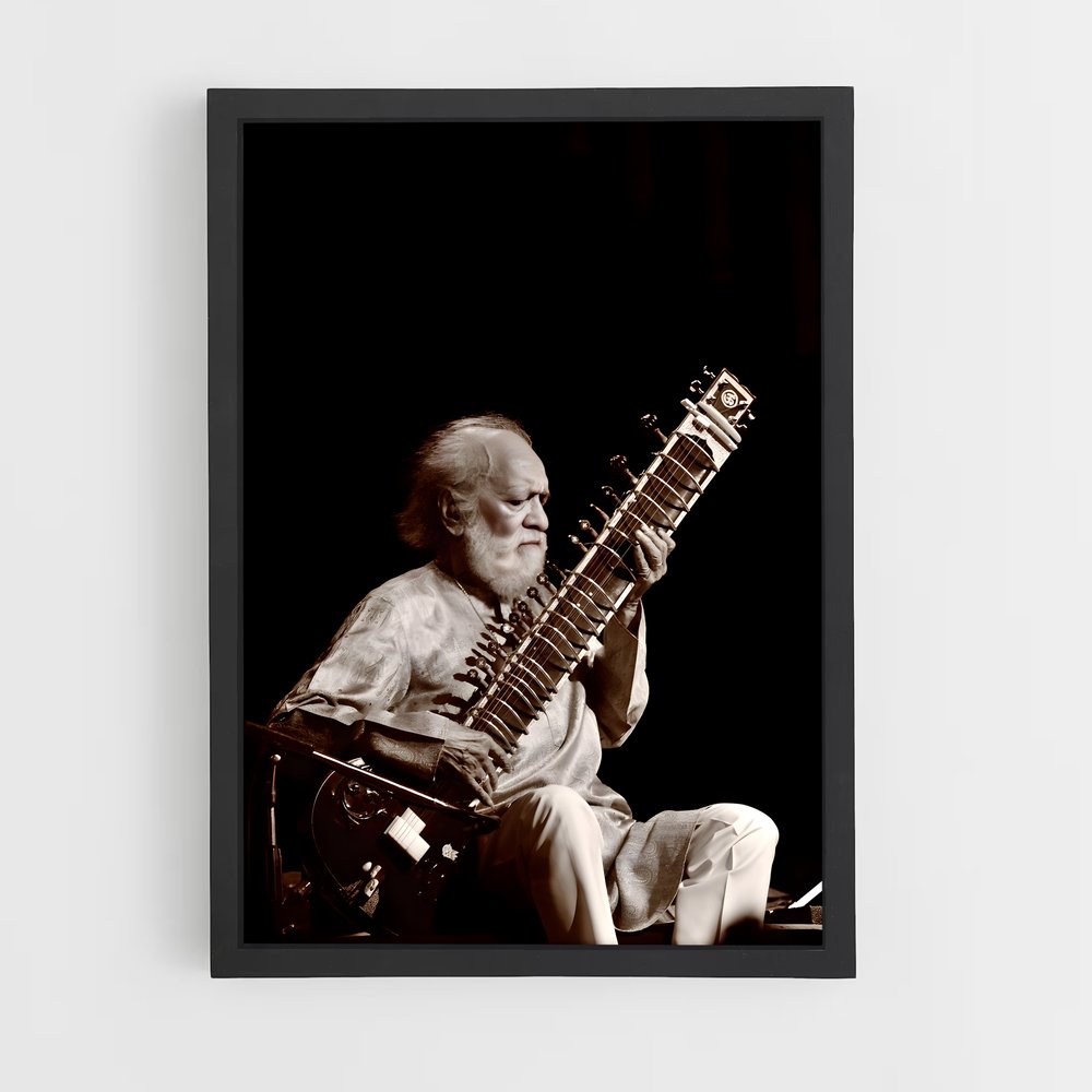 ap-ravi shankar-2 cadre Noir