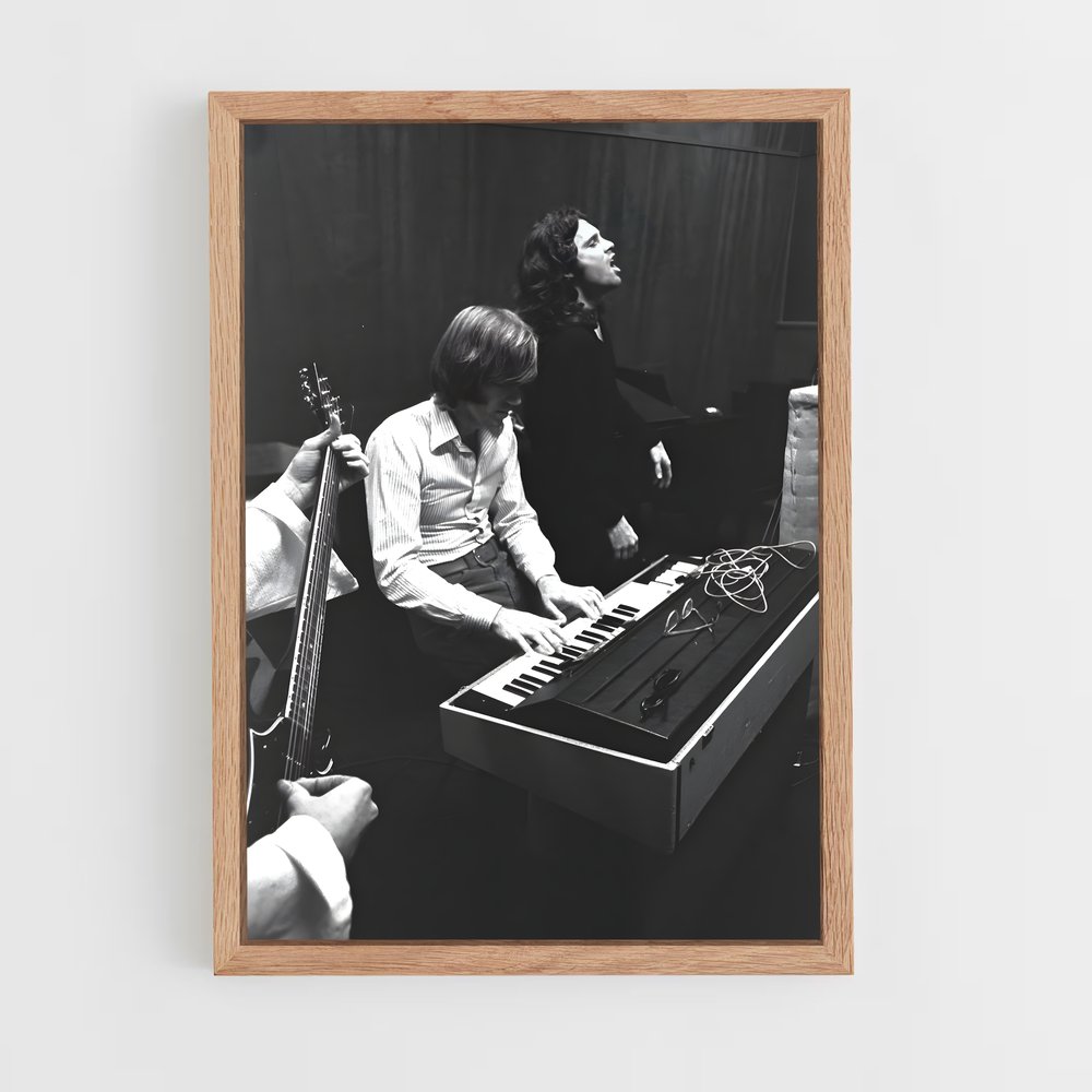 ap-ray manzarek-2 cadre Bois clair