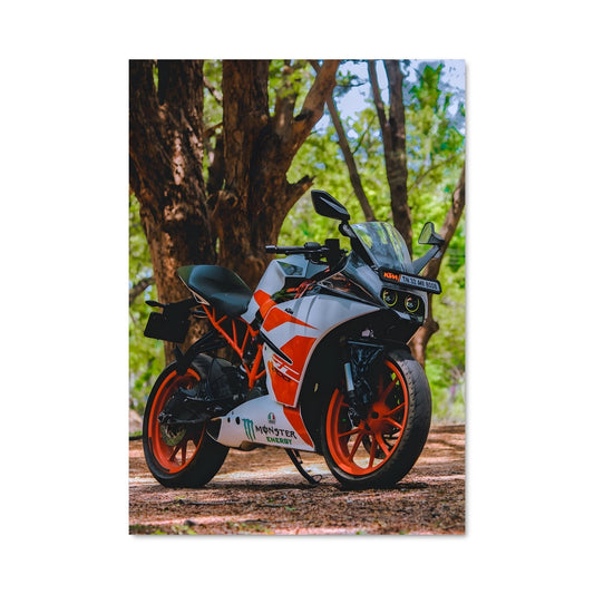 Poster KTM Frenzy