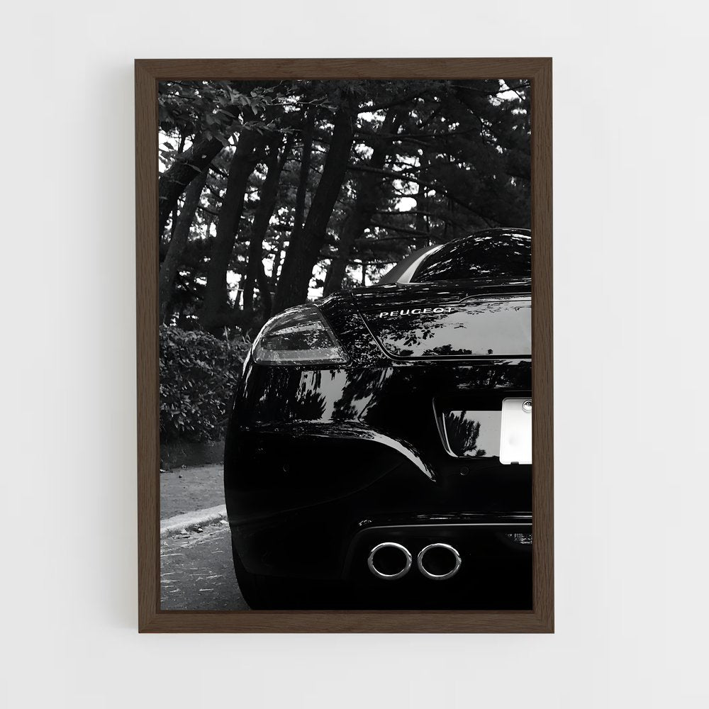 ap-rcz-1 cadre Bois foncé