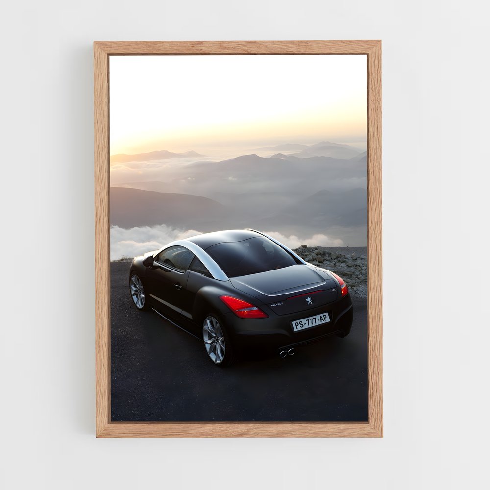 ap-rcz-3 cadre Bois clair