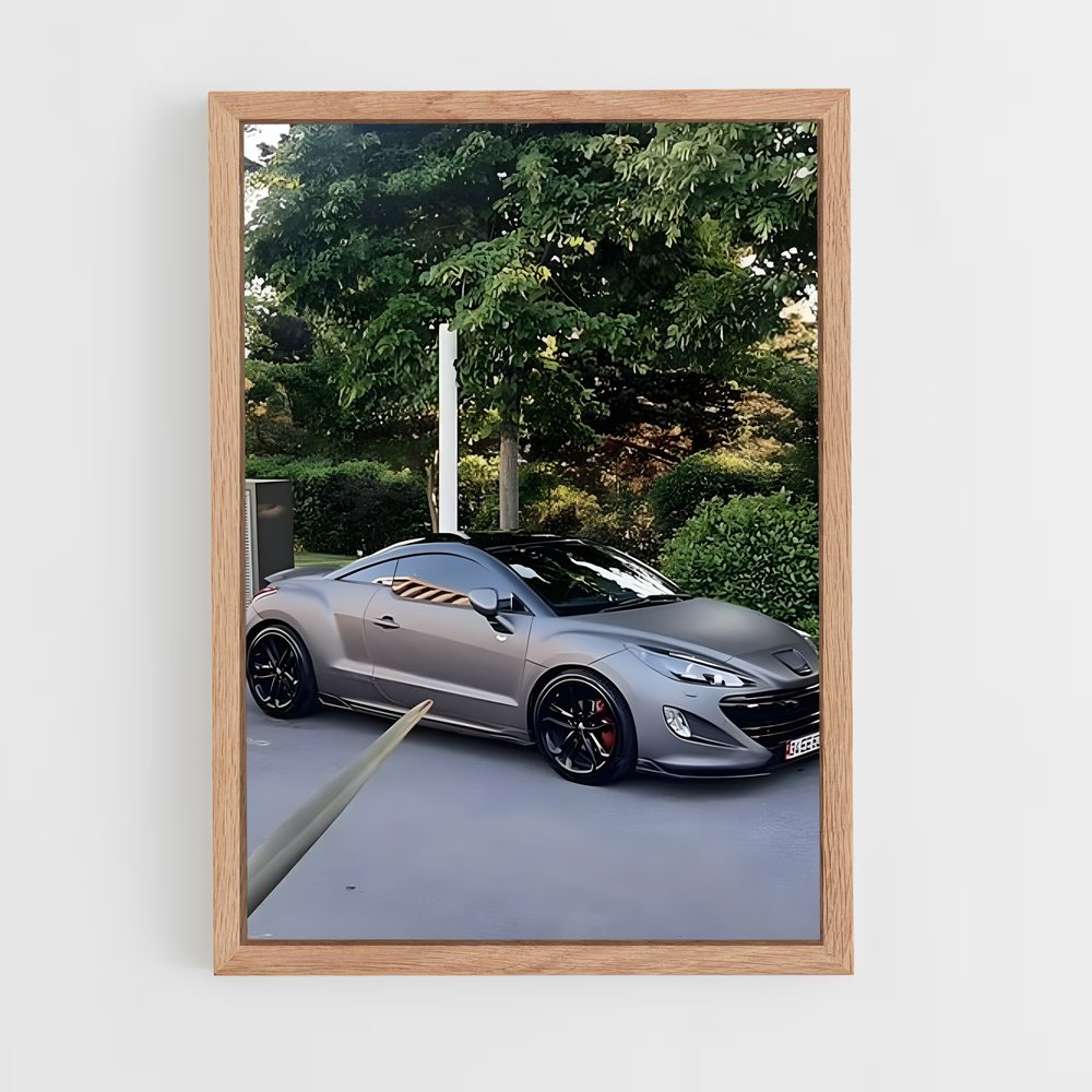 ap-rcz-4 cadre Bois clair