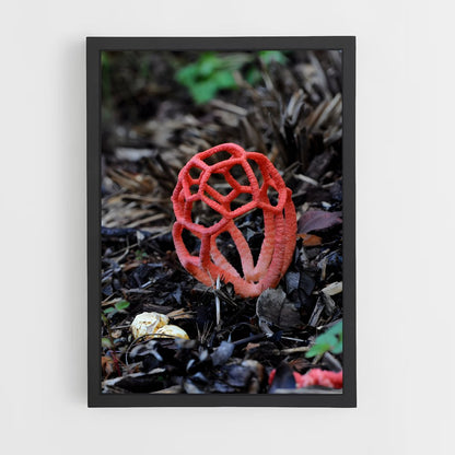 ap-red cage fungus-1 cadre Noir