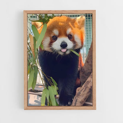 ap-red panda-1 cadre Bois clair