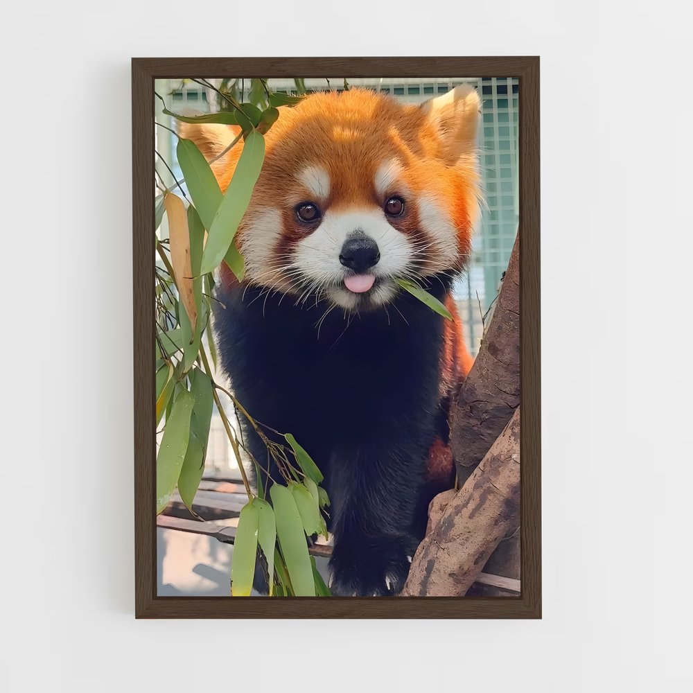 ap-red panda-1 cadre Bois foncé