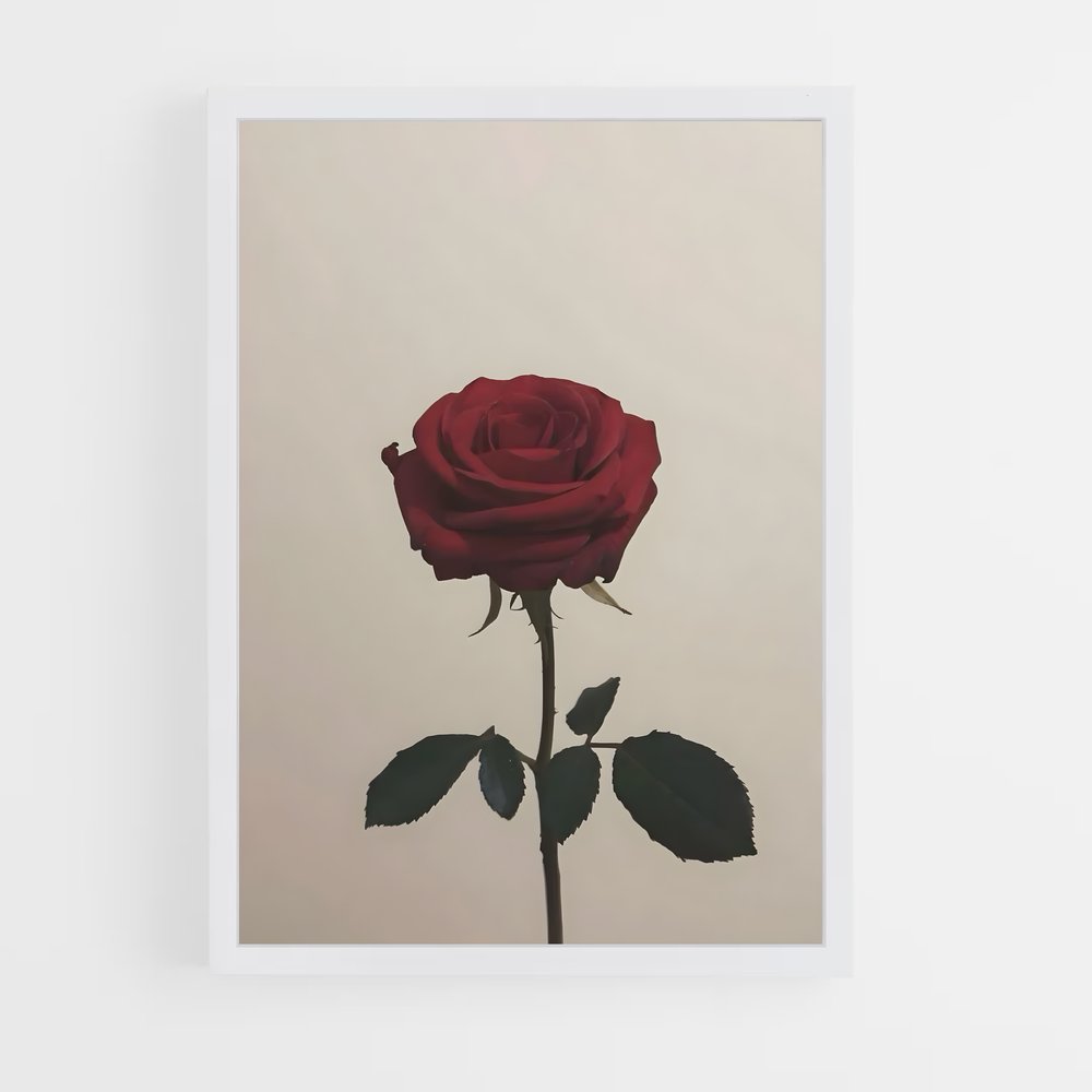 ap-red rose-4 cadre Blanc