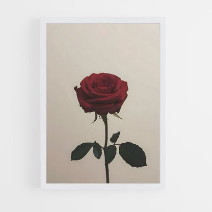 ap-red rose-4 cadre Blanc