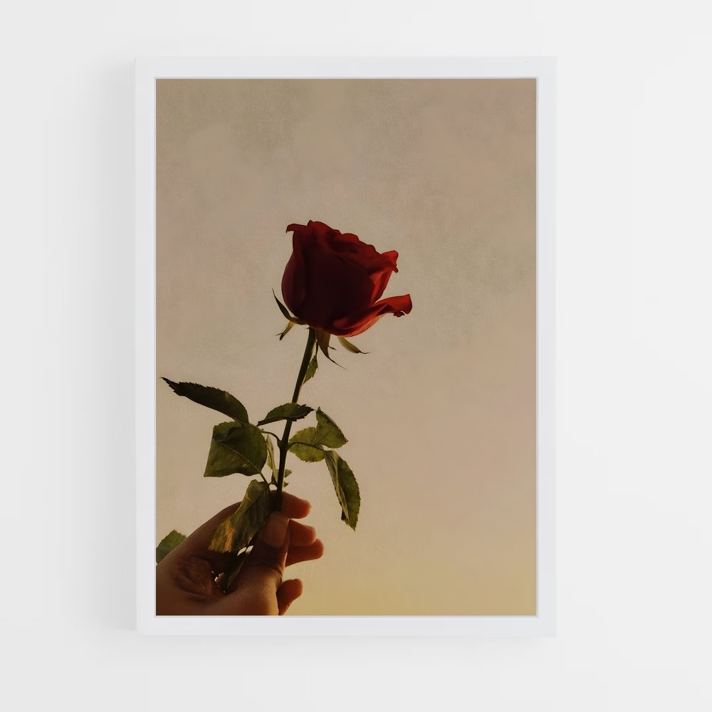 ap-red rose-8 cadre Blanc