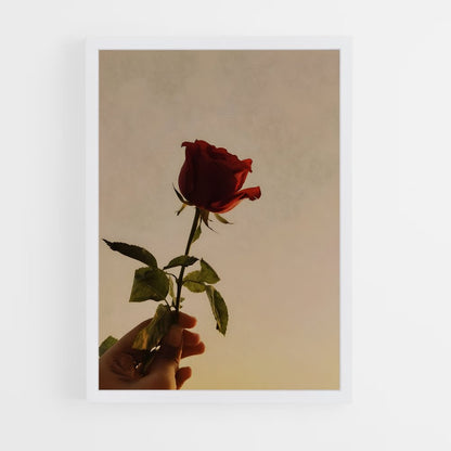 ap-red rose-8 cadre Blanc