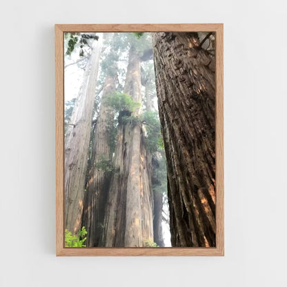 ap-redwood-1 cadre Bois clair