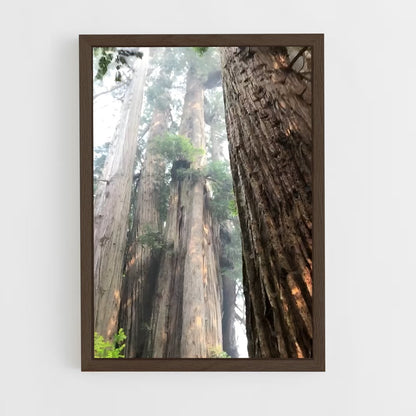 ap-redwood-1 cadre Bois foncé