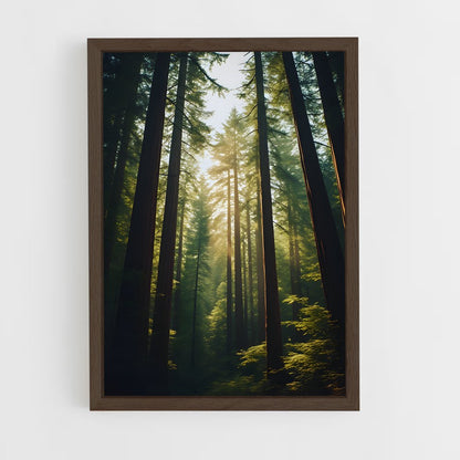 ap-redwood-3 cadre Bois foncé