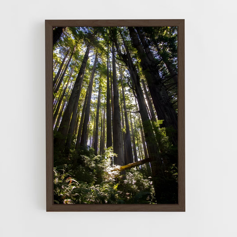 ap-redwood-6 cadre Bois foncé