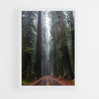 ap-redwood forest-1 cadre Blanc