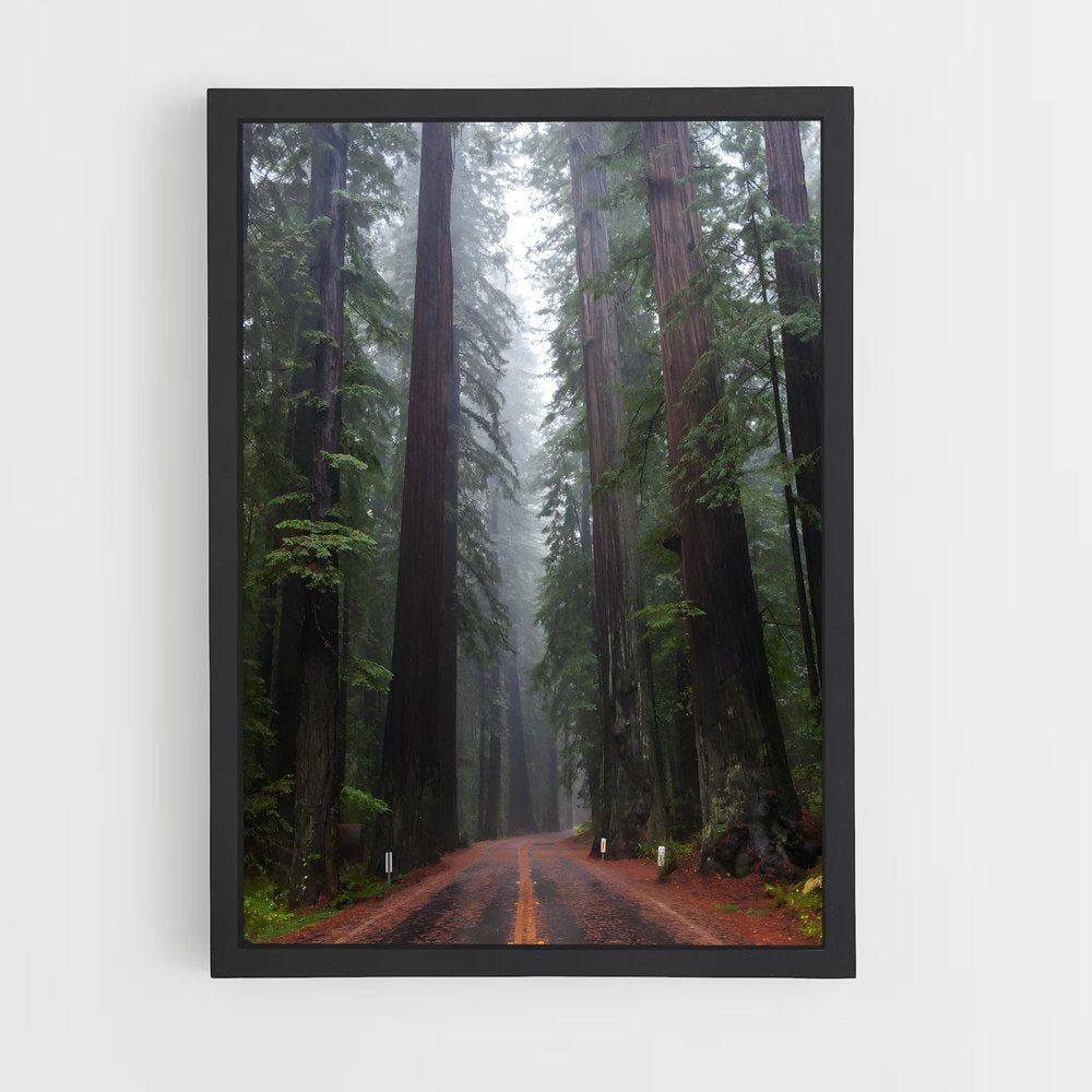 ap-redwood forest-1 cadre Noir