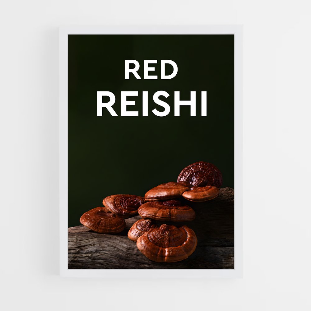ap-reishi-3 cadre Blanc