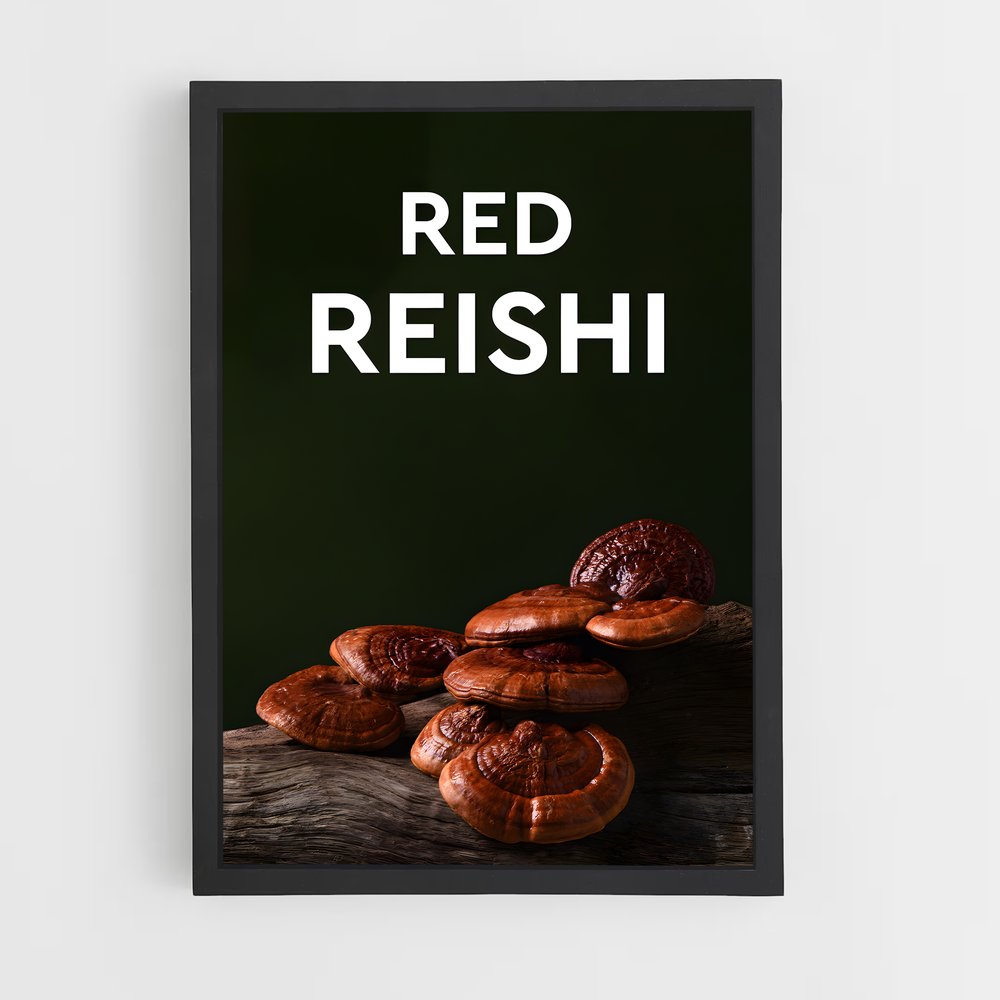 ap-reishi-3 cadre Noir