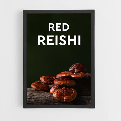 ap-reishi-3 cadre Noir