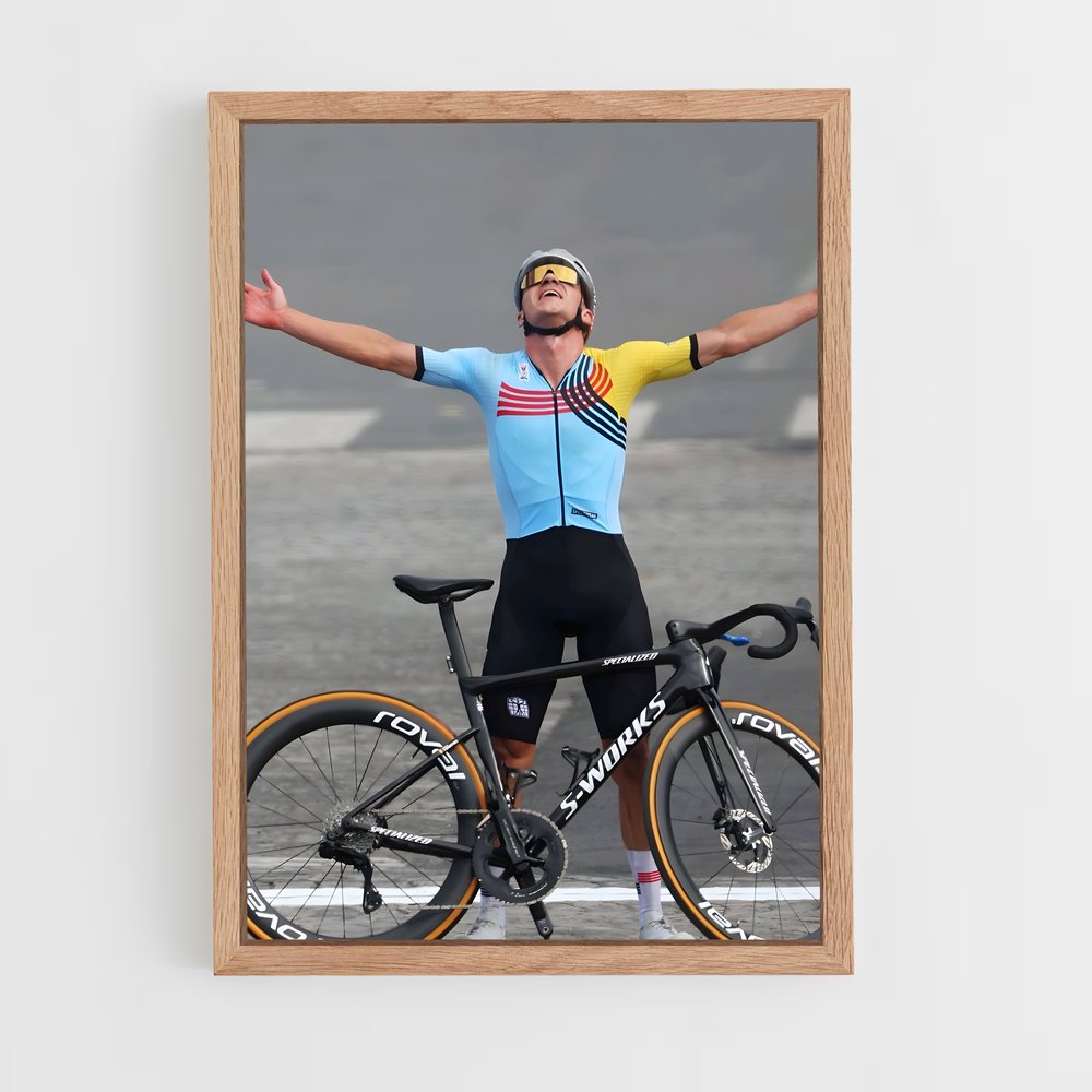ap-remco evenepoel-4 cadre Bois clair