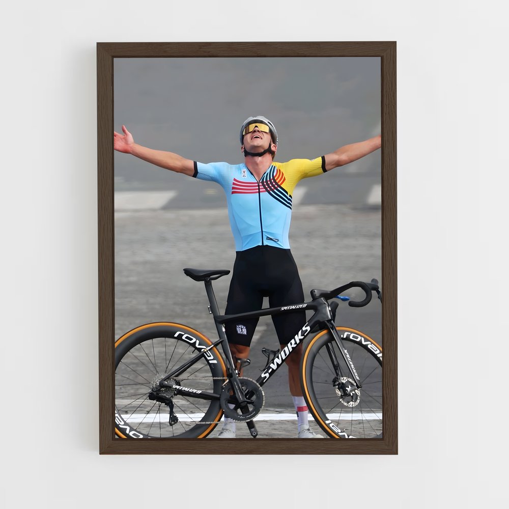 ap-remco evenepoel-4 cadre Bois foncé
