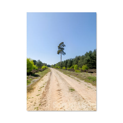 Poster Chemin Enchanteur