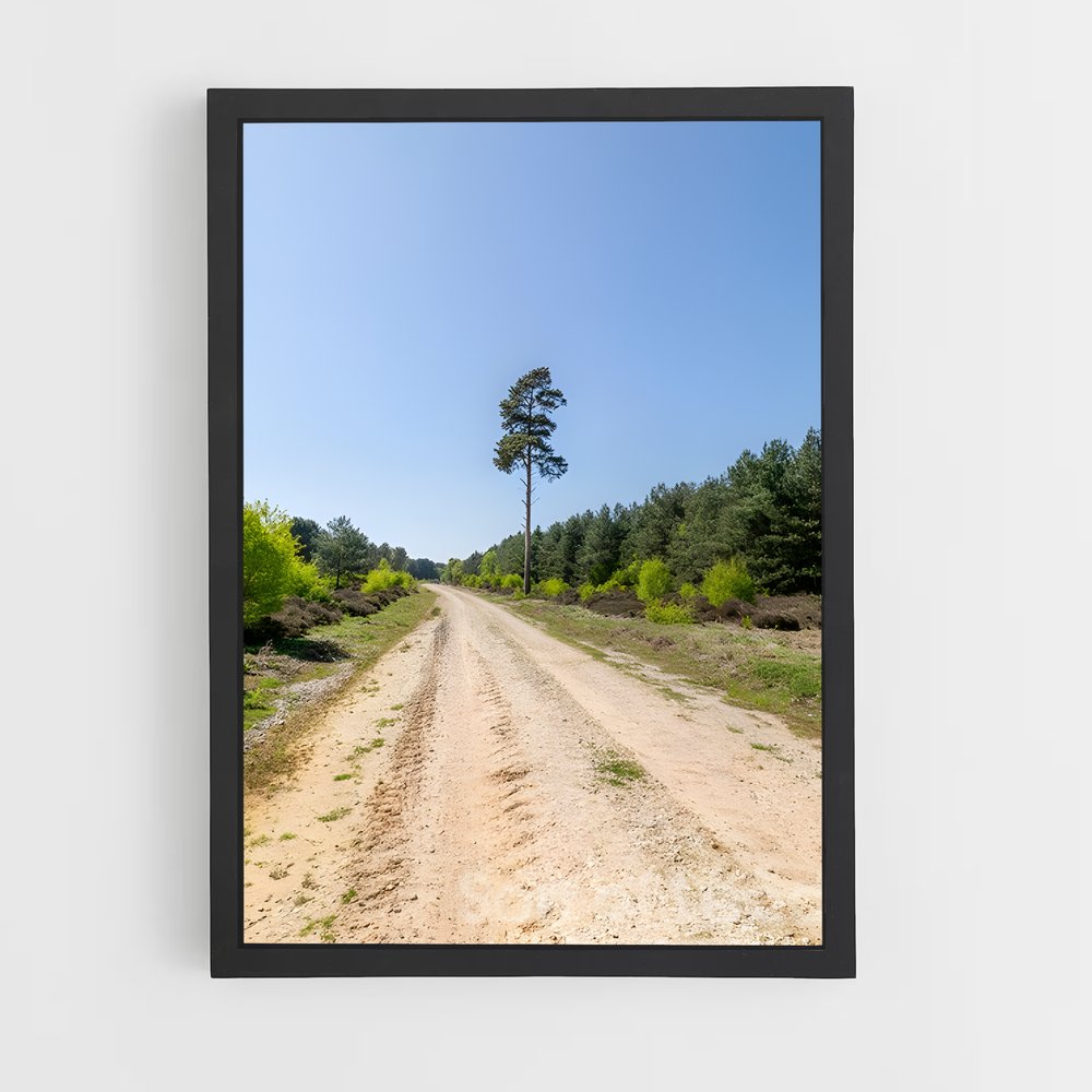 ap-rendlesham forest-5 cadre Noir