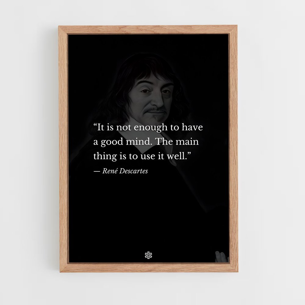 ap-rene descartes-3 cadre Bois clair