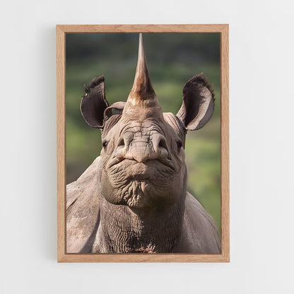 ap-rhinoceros-4 cadre Bois clair