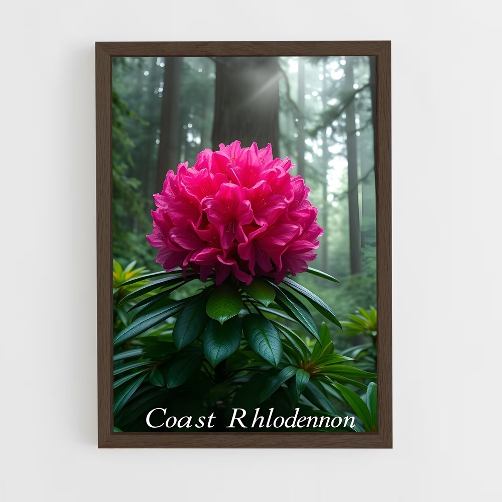 ap-rhododendron-2 cadre Bois foncé