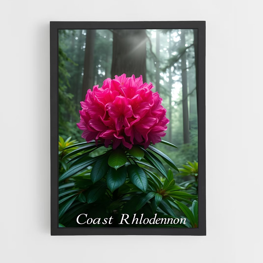 ap-rhododendron-2 cadre Noir