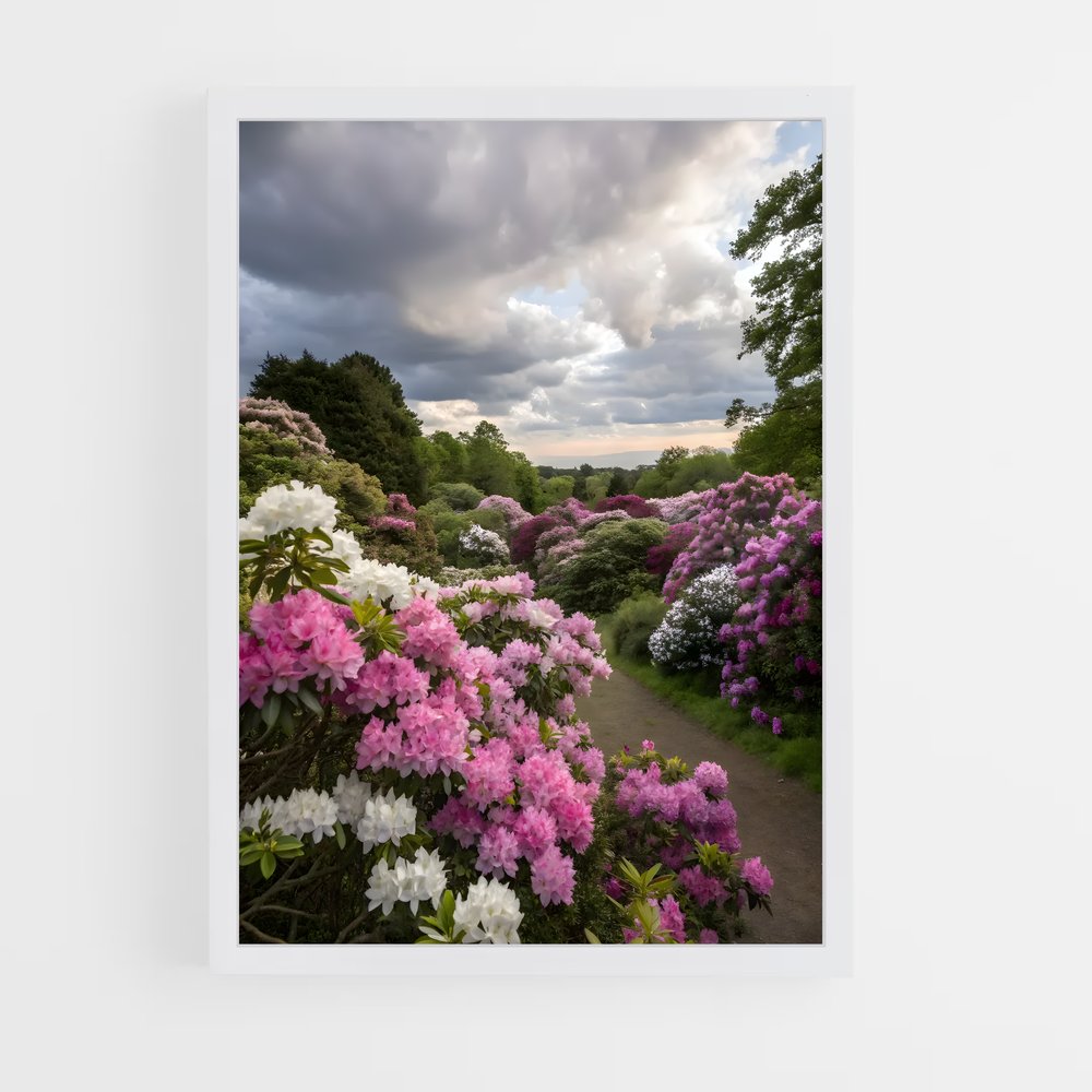 ap-rhododendron-3 cadre Blanc