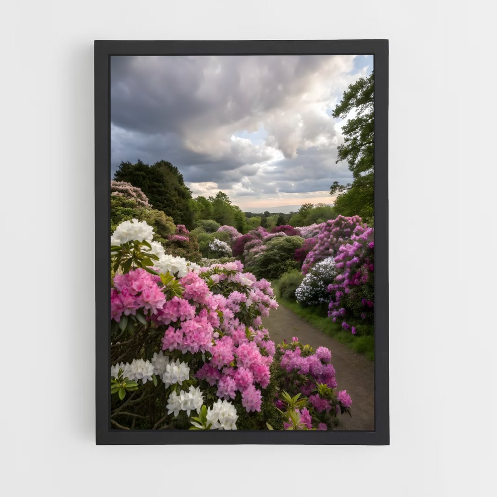 ap-rhododendron-3 cadre Noir