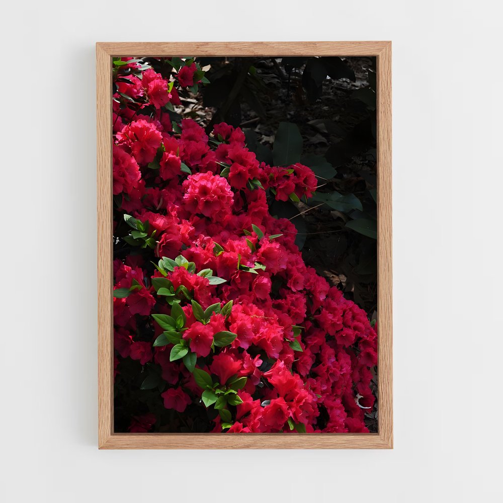 ap-rhododendron-6 cadre Bois clair