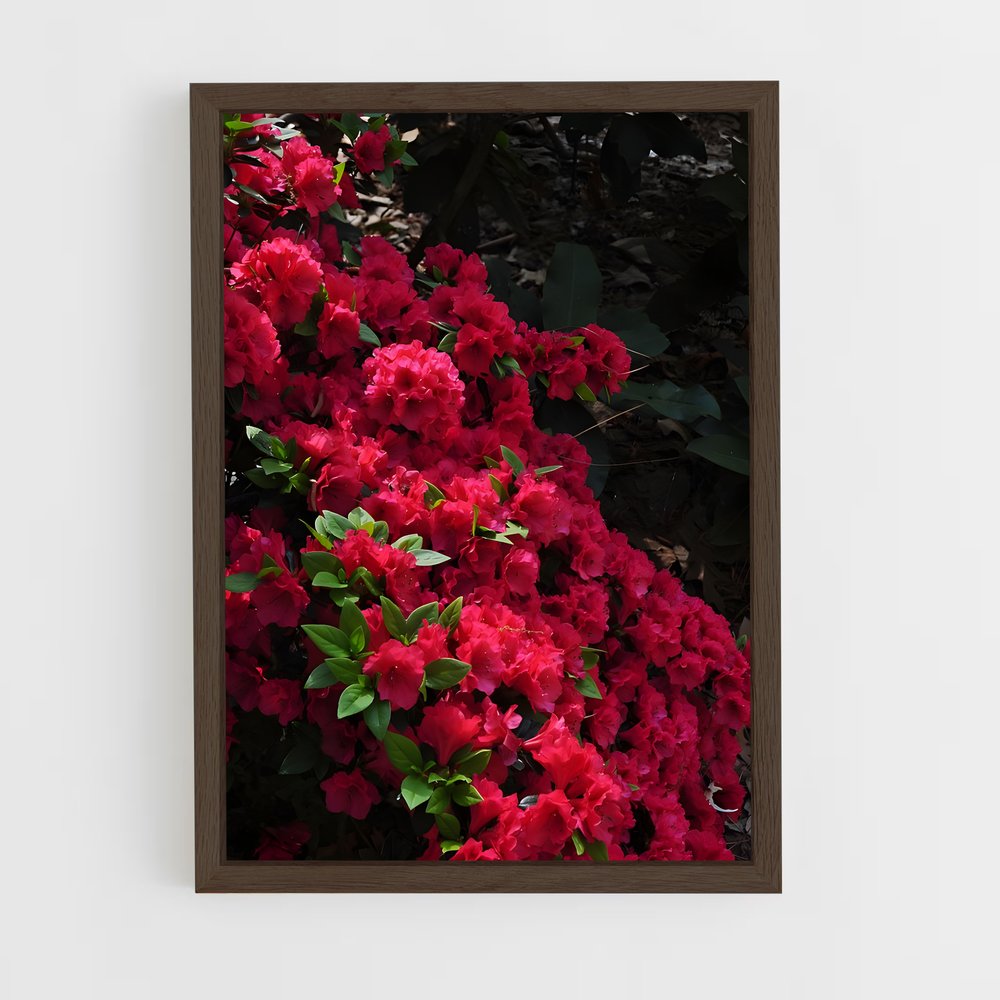 ap-rhododendron-6 cadre Bois foncé