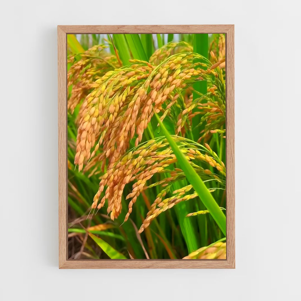 ap-rice-3 cadre Bois clair