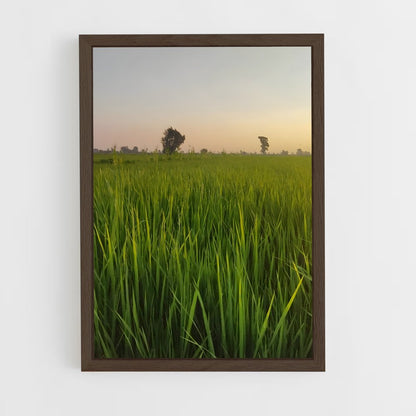 ap-rice-4 cadre Bois foncé