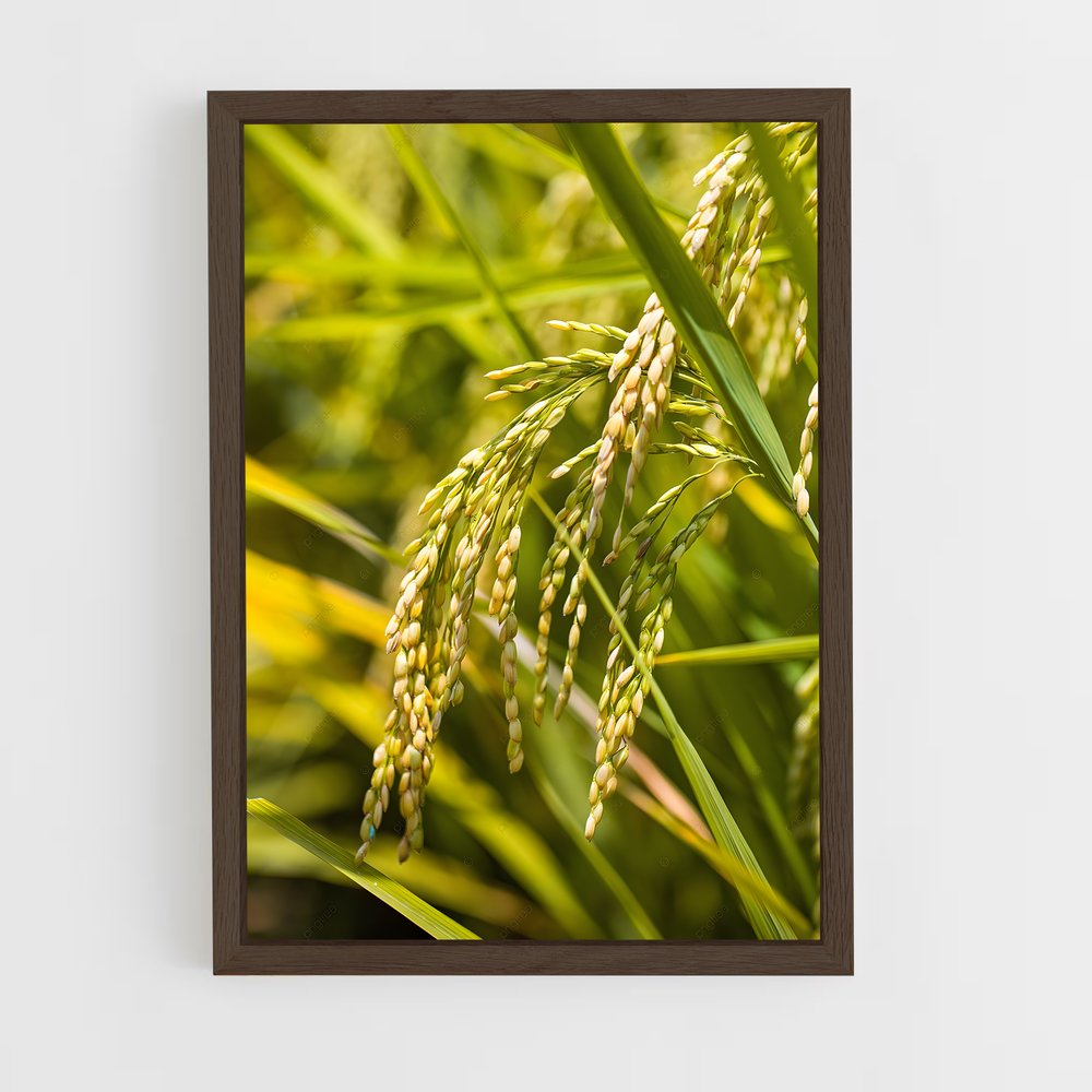 ap-rice-5 cadre Bois foncé