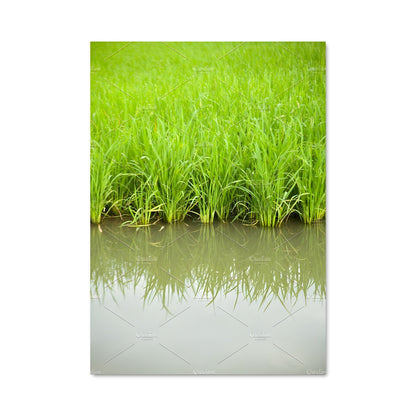 Poster Éclats de Verdure