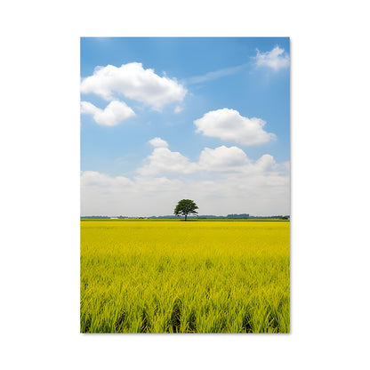 Poster Rice 96376