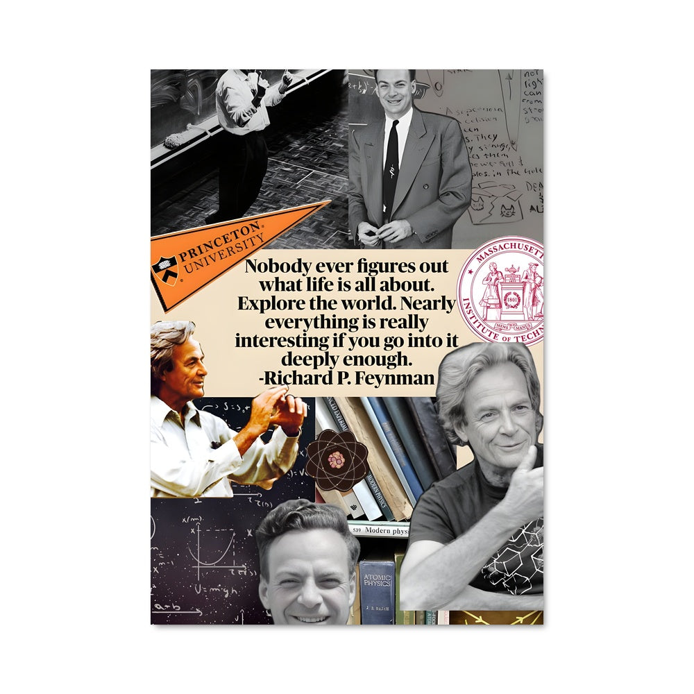 Poster Les Visages de Feynman