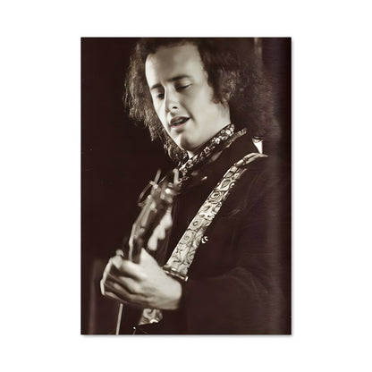 Poster Robby krieger 56713