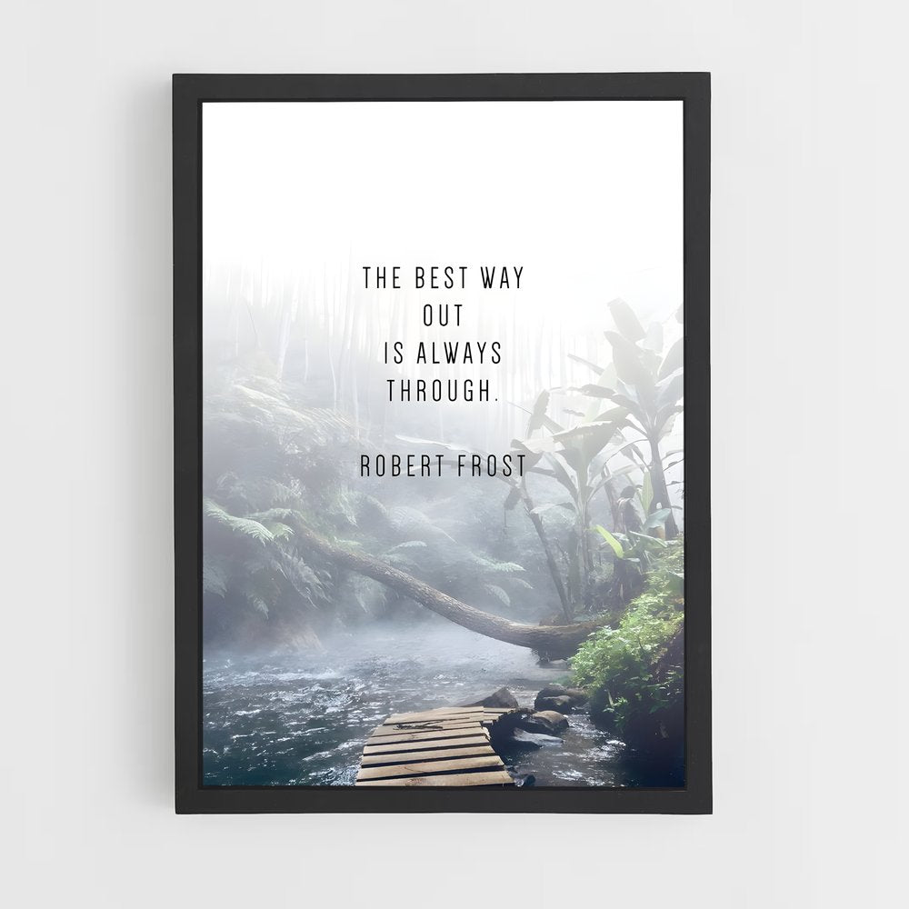 ap-robert frost-6 cadre Noir