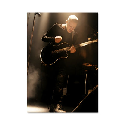 Poster Robin finck 56134