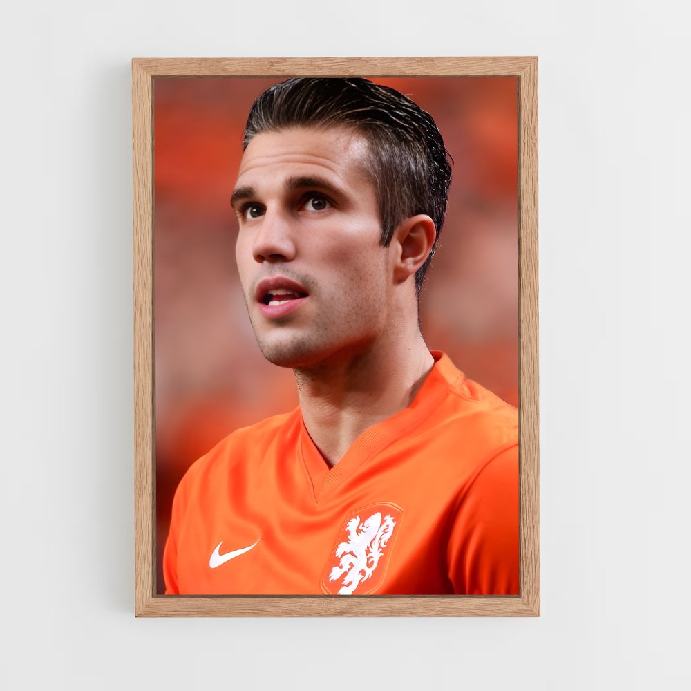 ap-robin van persie-7 cadre Bois clair