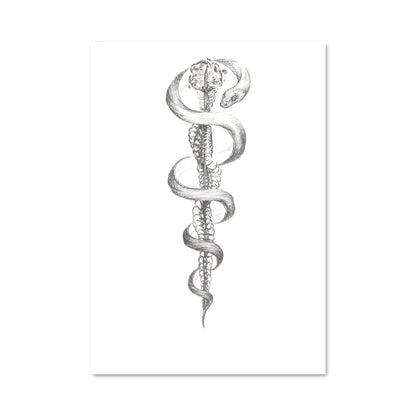 Poster Symbole de la Santé