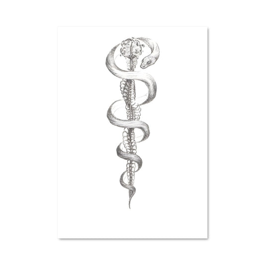 Poster Symbole de la Santé