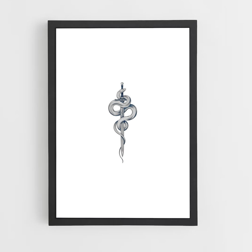 ap-rod of asclepius-1 cadre Noir