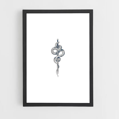 ap-rod of asclepius-1 cadre Noir