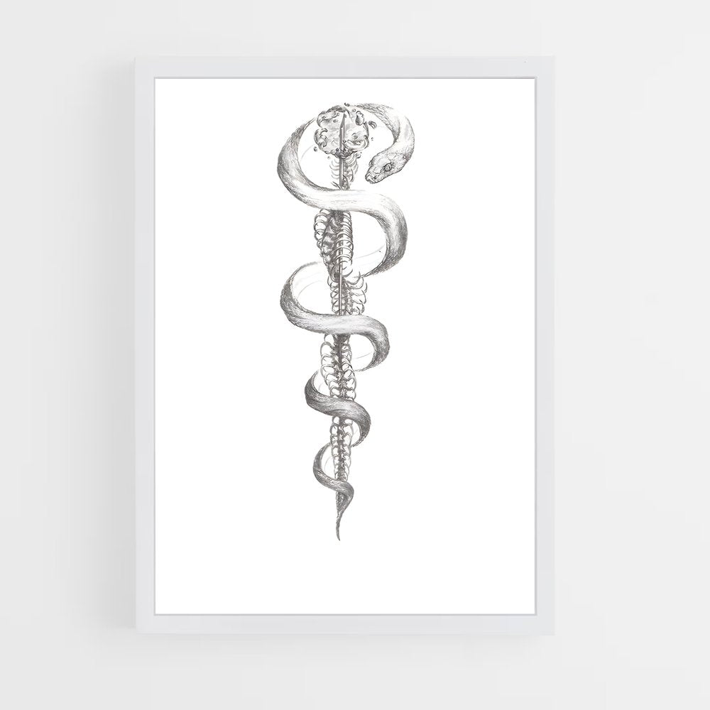 ap-rod of asclepius-2 cadre Blanc