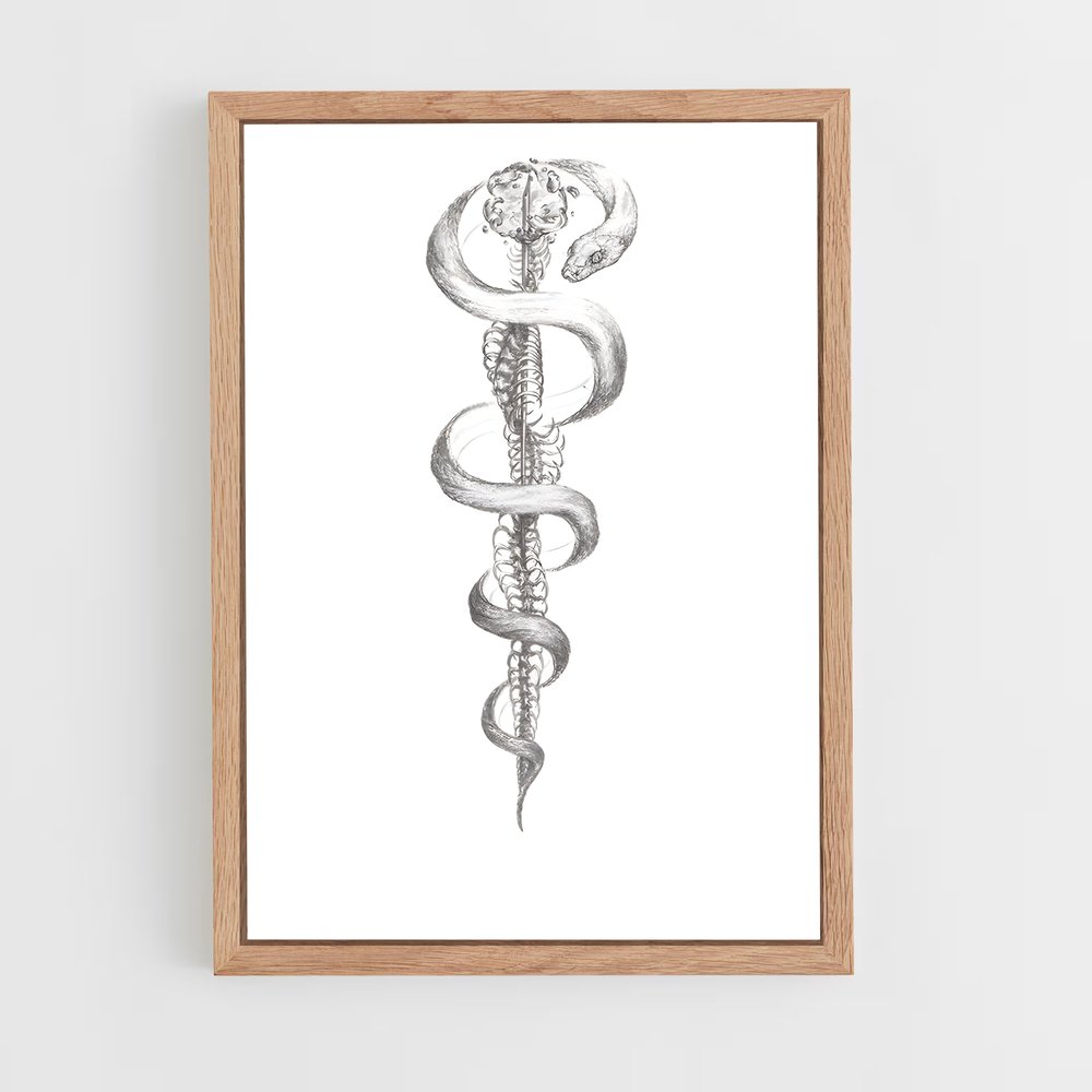 ap-rod of asclepius-2 cadre Bois clair